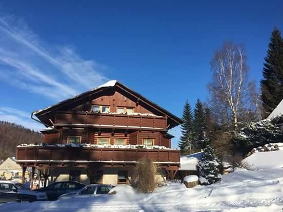 Pension Grizzly Ludvíkov Exterior photo