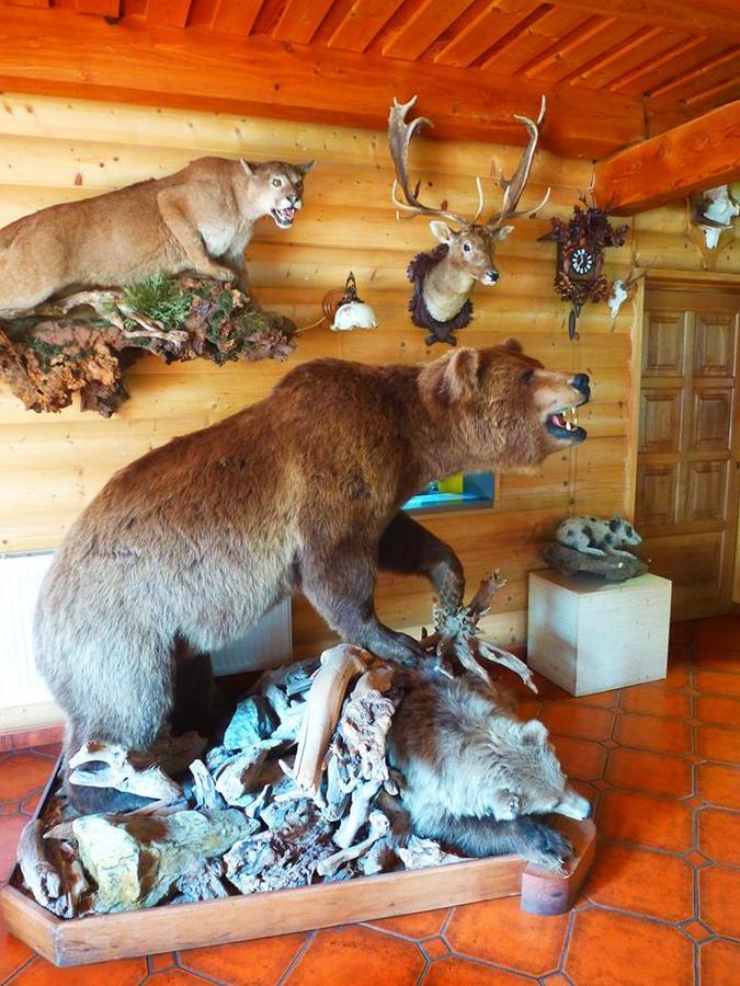 Pension Grizzly Ludvíkov Exterior photo